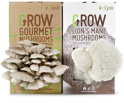 GroCycle Gourmet Mushroom Growing Kit Bundle Containing Lion's Mane Grow Kit + Oyster Mushroom Grow Kit | Grow Your Own Kits | Gardening Gifts for Women, Men & Kids | Mushroom Gifts | 2-in-1 Bundle