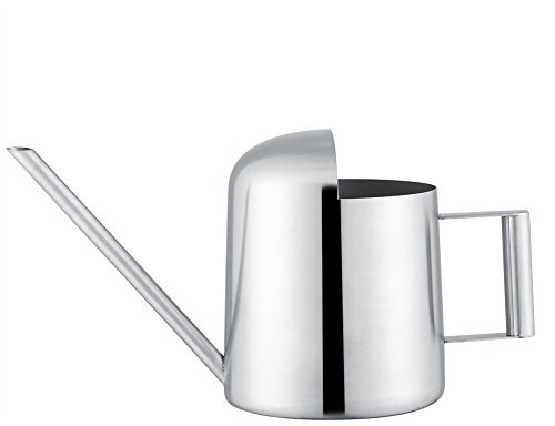 Pot d'arrosage en Acier Inoxydable Bonsai arrosoir Plante de Jardin Fleur à Longue Bouche arrosage Pot pour Plantes d'intérieur(300ml)
