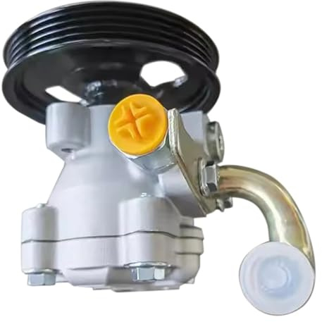 Gruppo pompa servosterzo compatibile per HYUNDAI H-1 H1 STAREX D4BF D4BH 57100-4A010 57100-4A000 571004A010 571004A000 CSP78122AS CSP78122GS