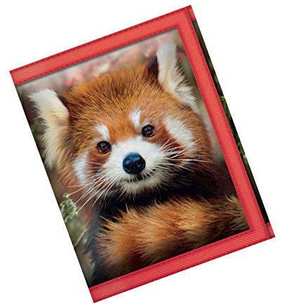 Deluxebase Portefeuilles 3D LiveLife - Bébés Panda Roux de Porte Monnaie Homme Faune Sauvage 3D Lenticulaire, Pièces, Billets & Cartes.Illustration sous Licence de L'Artiste renommé David Penfound