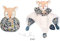 DOUDOU ET COMPAGNIE - Doudou Boule Faon - Peluche 3 en 1 : Doudou, Peluche, Boule d'Eveil - 25 cm - Collection Les Petits Futés - Doux pour les Câlins - Idée Cadeau Naissance - DC3930