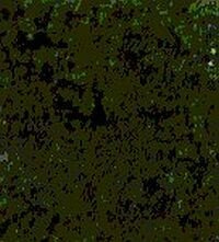 Heki Flor, Size- 28 x 14 cm., Colour- Pine Green