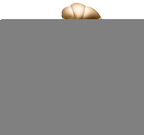 Voiakiu Retro Wireless BT Speaker - Vintage Classic Style Gramophone Shape Music Box,Easy to Use Creative for Boys Girls Adults Kids