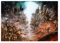 Displate Warhammer Metallposter Warhammer Poster Zimmer Poster Warhammer Merch Zimmer Plakat wandbilder deko - John Blanche Art - Holy Mars Poster 67,5x48cm