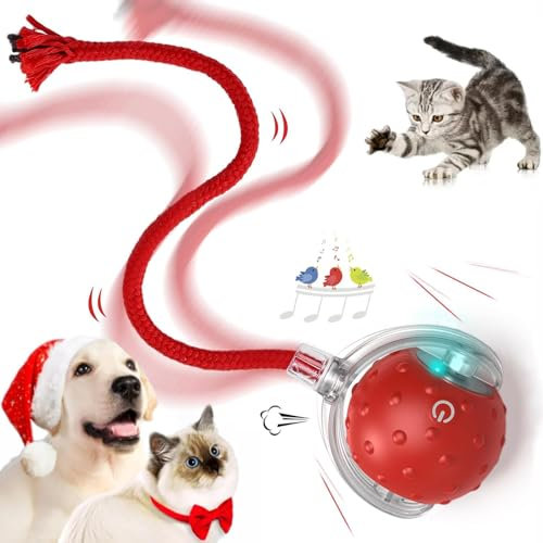 Interactive Cat Ball, Rechargeable Dog Toy Balls, Dog Rolling Ball with LED Light, Durable High Bounce Floating Rubber Cat Ball for Kittens, Puppies (Red)
