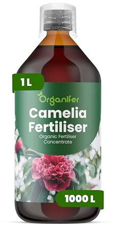 Organifer Engrais Liquide pour Camélia 1L, Organique, Floraison Abondante, Racines Fortes