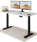 Desktronic Homeone Höhenverstellbarer Schreibtisch 160 × 80 cm – Elektrischer Schreibtisch Mit Zwei Elektrischen Motoren, Touchscreen-Steuerung Und Integrierten USB-a- Und USB-c-ladeanschlüssen