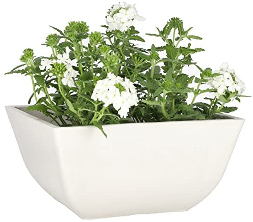 KOTARBAU® Blumentopf Pflanzgefäß aus recycelten Materialien quadratisch 25x25x12,7 cm Weiß