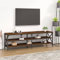 Annlera Meuble TV Chêne Marron 160x40x50 cm Bois d'ingénierie et Fer Banc TV Industriel Armoire Multimédia Maison Salon Espace de Divertissement Meubles de Chambre à Coucher Fonction d'affichage