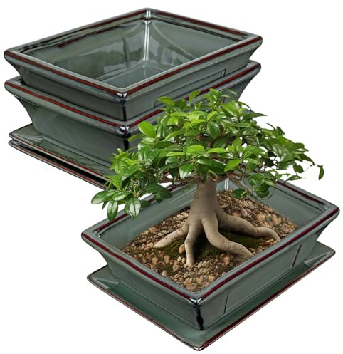 Juego de 2 macetas de cerámica para bonsái con posavasos y agujeros de drenaje para bonsái japoneses, decoración retro para juegos de recipientes de jardín al aire libre, diámetro de apertura 26 cm