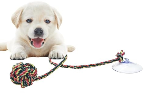 Juguetes Interactivos para Perros Mordedor Interactivo de Cuerda para | para Aliviar la Dentición en Mascotas para Jugar en Interiores y Exteriores Patio Parque Playa Masticación Ejercic