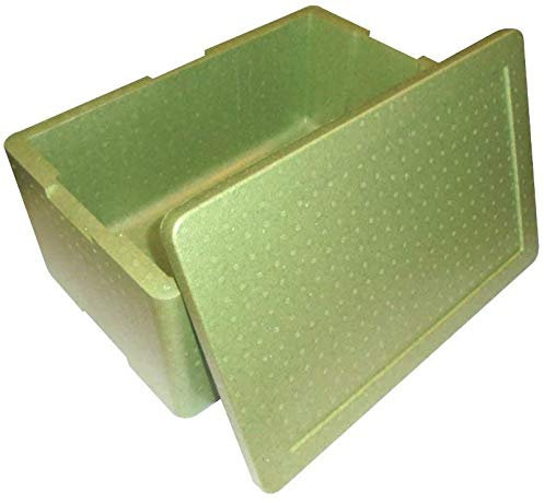 BOX GEL PZ 1 Contenitore Termico Rettangolare da CM 33 X 53 Alto CM 23 Cassa Resistente per ASPORTO Alimenti in POLISTIROLO Green