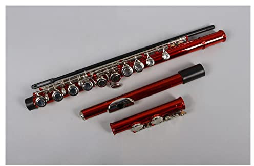 DZDZDZ querflöte Instrument Rot 16 Löcher Flöte E Key Nickel Überzogene Konzert Geschlossene Flöte Mit Reinigungstuch Stickhandschuhe Gepolsterte Tasche Einsteigerflöte