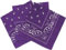 AAMERA Lot de 3 bandanas cachemire taille XL pour homme et femme, violet foncé, 55cm x 55cm