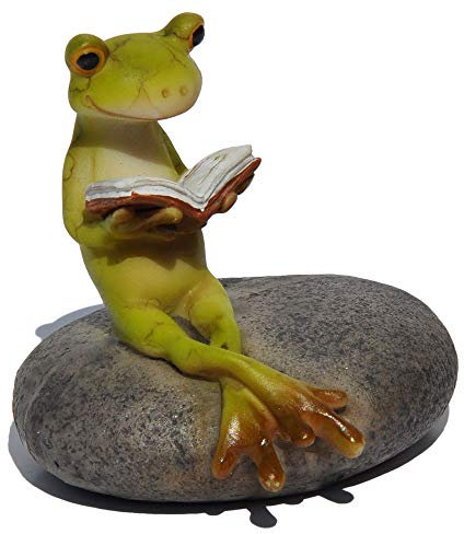 Top Collection Miniatur-Feen-Garten und Terrarium, Statue „Lesender Frosch auf Stein“