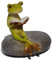 Top Collection Miniatur-Feen-Garten und Terrarium, Statue „Lesender Frosch auf Stein“
