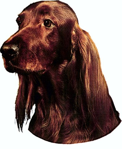 carstyling XXL Aufkleber Iirsh Setter 125 x 110 mm