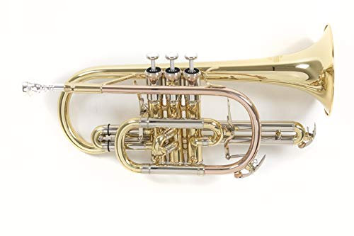 Roy Benson Bb-Kornett CR-302 (professionelles Kornett mit ML Bohrung, 119mm Messing Schallstück, Goldmessing Mundrohr, Neusilber Außenzüge und Edelstahl Ventilen), lackiert