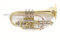 Roy Benson Bb-Kornett CR-302 (professionelles Kornett mit ML Bohrung, 119mm Messing Schallstück, Goldmessing Mundrohr, Neusilber Außenzüge und Edelstahl Ventilen), lackiert