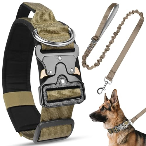 Viugex Ensemble Collier et Laisse pour Chien, Collier de Chien Tactique Militaire avec Boucle en Métal, Résistant et Réglable Collier pour Petits, Moyens et Grands Chiens (Kaki, L)
