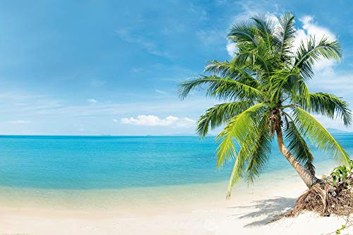 1art1 Strände XXL Poster Malediven Strand-Paradies Plakat | Bild 120x80 cm