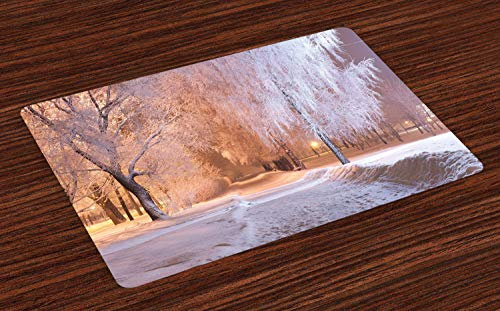 ABAKUHAUS Winter Platzmatten, Nachtszene Gefrorene Bäume, Waschbare Stoff Esszimmer Küche Tischdekorations Digitaldruck, Weiß Creme