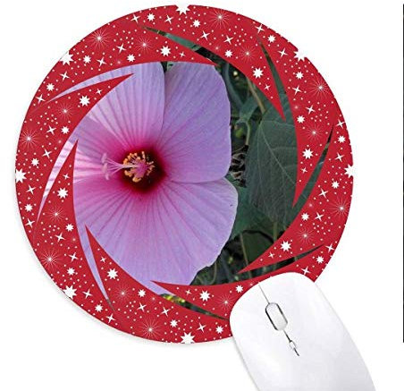 fleur rose nature décors tapis de souris rouges rondes roues en caoutchouc