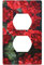 Doppelsteckdosen-Wandplatte, elektrische Steckdose, Lichtschalter-Abdeckung, Kunst-Blende, Schalterplatte für Heimdekoration, 11,4 x 7,9 cm, rote Geranien bedruckt