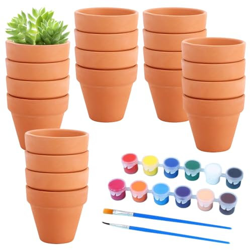 SKIKHN Petits Pots en Terre Cuite,20 Pièces Mini Pots de Fleurs en Terre Cuite 4.5 X4 cm,Pot de Fleur Terre Cuite avec Peintures & Pinceaux,Réutilisable Pot Terre Cuite pour Succulent, Cactus