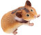 FELTECHELECTR Dekorative Meerschweinchen-Figurine Aus Adorable Modellierung Für Tischdekoration Niedliche Deko Und Meerschweinchen-Modell Für Zuhause