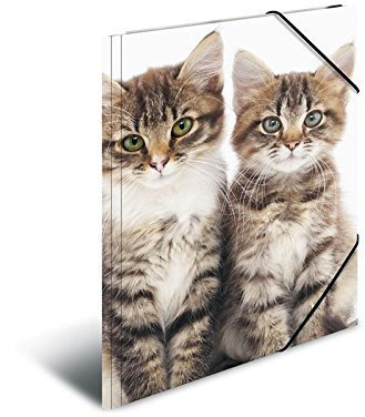 Herma 7143 Eckspannermappe Katzen, aus PP, DIN A3, 5 Stück