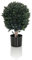 HJH Office Pianta Artificiale BUXUS Pianta Artificiale Decorativa 65 cm, Albero Artificiale di Facile Manutenzione, per Interni ed Esterni, bosso Verde 871055