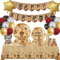 Wizard Décoration d'anniversaire, ensemble de vaisselle de fête magique, assiettes en carton magiques, nappe, ballons pour anniversaire d'enfant