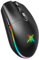 TECKNET Mouse Gaming Wireless, 8000DPI Gaming Mouse Wireless Ricaricabile, Doppia Modalità a 2.4G e Cablato, 6 Modalità RGB, Gaming Mouse Pc con Pulsanti Programmabili per Window XP/11/10/8/7, Bianco