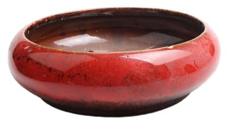 Zambuph Per Piccoli spazi, Grande Ciotola Rotonda e succosa per Qualsiasi pianta, Contenitore Decorativo per Piante da Giardino in Ceramica, Fiori di Cactus, Rosso