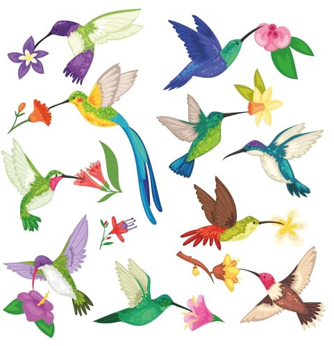 20er Set Fensterbild Kolibri mit Blumen I Vögel beidseitig bunt I Fenster-Aufkleber statisch haftend I selbstklebend wiederablösbar I dv861