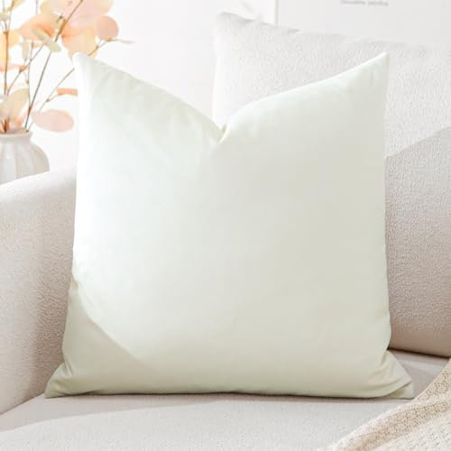 Artscope Samt Kissenbezug Kissenhülle Dekorative Dekokissen Sofakissen Lendenkissen Wurfkissenbezug Sofa Schlafzimmer 60x60cm Cremeweiß