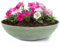 matches21 HOME & HOBBY Pot de fleurs pour extérieur, vert olive, marbré, 30 x 9 cm, résistant aux intempéries
