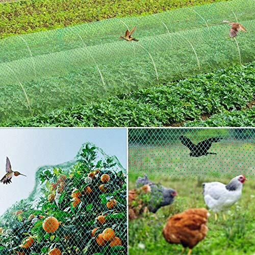 4M X 5M GARDEN PROTECTION NETTING NET MESH STRAWBERRY FRUIT VEGETABLES SEEDLINGS