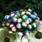 Shopmeeko 100 STÃœCKE Regenbogen Chrysantheme Blume bonsai Ornamental Bonsai Seltene Farbe Neu Wählen Sie Mehr Chrysantheme bonsai Garten Blume Pflanze: WeiÃŸ