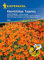 Kiepenkerl Tagetes tenuifolia Luna Orange