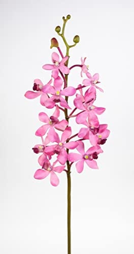 Seidenblumen Roß Orchideenzweig Vanda 70cm rosa-pink CG Kunstblumen künstliche Orchidee Vanda Blumen Pflanzen