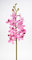 Seidenblumen Roß Orchideenzweig Vanda 70cm rosa-pink CG Kunstblumen künstliche Orchidee Vanda Blumen Pflanzen