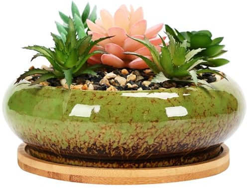 NIDONE Sukkulenter Pflanzentopf 6.14x2.20in Bonsai -Topf mit Tablett Flache saftige Pflanzer runde glasierte Keramiktöpfe für Pflanzen mit Entwässerung | Pflanzgefäßen