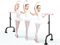 Ballettstange, tragbare, ausgewogene Ballettstange mit Verstellbarer Höhe, ideal zum Tanzen/Pilates, 2 m