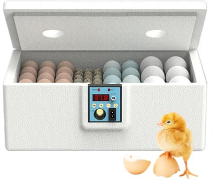 Incubadora Huevos Gallina Automatica Profesional, Incubadora para Huevos De Gallina Capacidad 10-25 Unidades, Criadora Avícola Inteligente con Volteo para Uso En Laboratorios Y Aulas