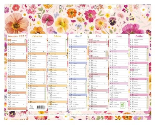 Exacompta - 34215E - Kalender Blumen mit Aquarellbildern - 7 Monate pro Seite - 43 x 33,5 cm - 2024