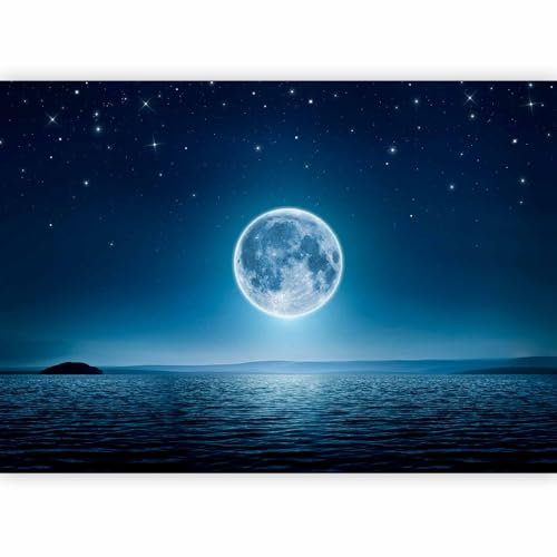 Papier peint murando intissé 400x280 cm Décoration Murale XXL Poster Tableaux Muraux Tapisserie Photo Trompe l'oeil Etoiles Mer Lune Nuit Lune ciel c-A-0036-a-a