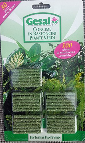 GESAL 40 Confezioni x 30 Bastoncini fertilizzanti concime rivingorente per Piante Verdi