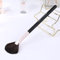 ENERGY Fan Highlighter Brush